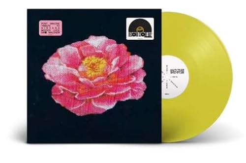 Posty Tribute To Nirvana Sun Colored Only 17,000 copies pressed! ) W/ white poly-lined inner sleeve - Postmalone(singer-songwriter) (Discos de Vinil)