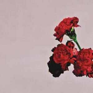John Legend - Love In The Future - John Legend (CDs)
