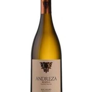 Vinho Branco Português Andreza Reserva DOC Douro 750ml (Vinhos)
