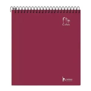 CADERNO UNIVERSITARIO 1M 80 FOLHAS FLIP COLORS VINHO CD (CDs)