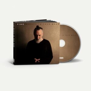 Beauty in Your Wake - Fink (CDs)