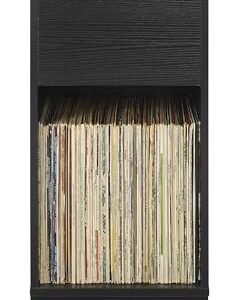 Crosley Furniture Enzo Modern Suporte de armazenamento de discos de vinil, prateleira flip virada para frente, para discos, preto (Equipamentos)