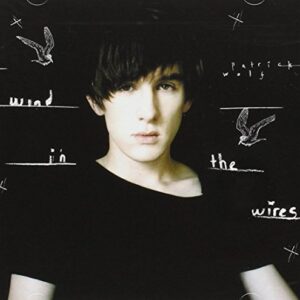 Wind In The Wires - Wolf, Patrick (CDs)