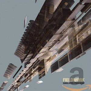 Simulated Progress - Fieldwork (CDs)