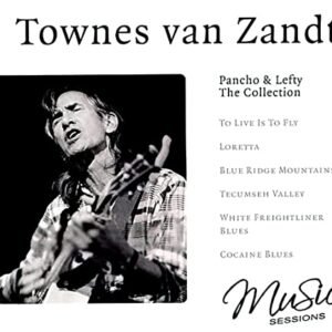 Townes Van Zandt - Van Zandt, Townes (CDs)