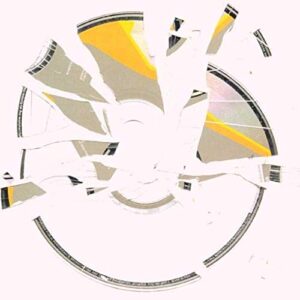 Appetite For Disctruction - Funkstorung (CDs)