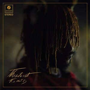 It Is What It Is - Thundercat (CDs)