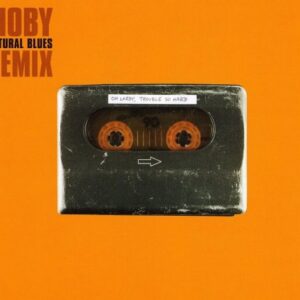 Natural Blues Pt.2 - Moby (CDs)