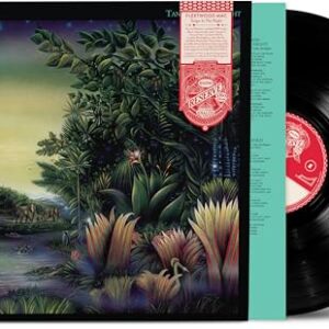 Tango in the Night - Fleetwood Mac (Discos de Vinil)