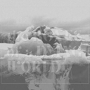 The Bones of a Dying World - If These Trees Could Talk (CDs)