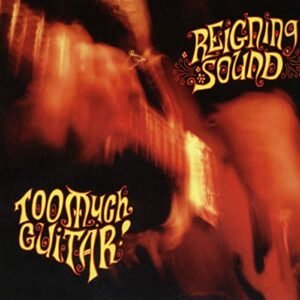 Too Much Guitar - REIGNING SOUND (CDs)
