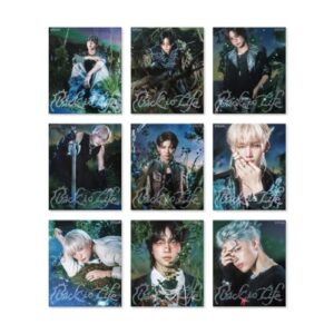 &TEAM KR 1st Mini Album 'Back to Life'[ROAR ver.] - &TEAM (CDs)