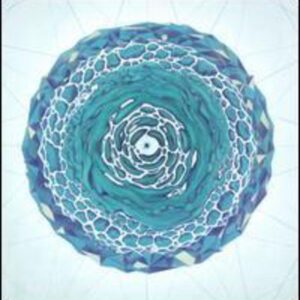 The Architect - Hostile Little Face (CDs)