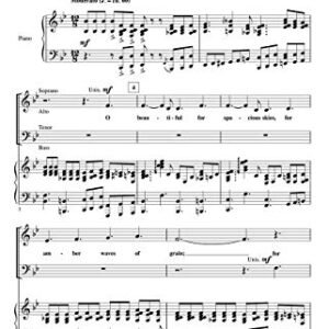 Hal Leonard America, the Beautiful ShowTrax CD Arranged by Rollo Dilworth (CDs)