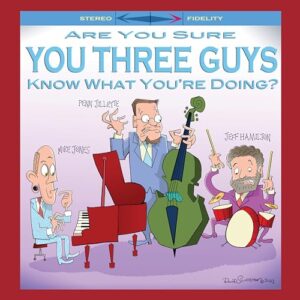 ARE YOU SURE YOU THREE GUYS KNOW WHAT YOU'RE DOING. - Jones, Mike (CDs)