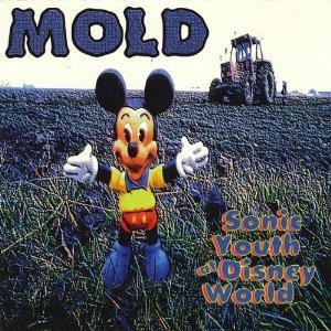 Sonic Youth at Disney World (CDs)