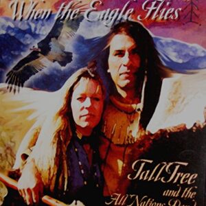 When the Eagle Flies - Robert TallTree (CDs)