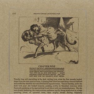 Pretty Little Lightning Paw - SILVER MOUNTAIN ZION (CDs)