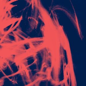 Landscape from Memory - Rival Consoles (CDs)