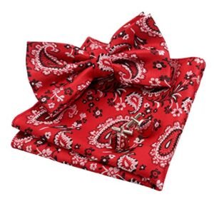 Gravata borboleta masculina clássica ajustável pré-amarrada, 012-vinho tinto, tamanho �nico (Vinhos)