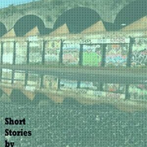 Forecast: Short Stories by New Birmingham Writers (Comma Short Story Course Book 10) (English Edition) - Haughey, Meave (CDs)