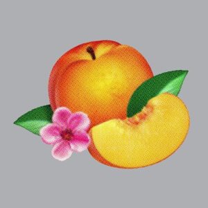 Bankrupt! [Deluxe Edition] - Phoenix (CDs)