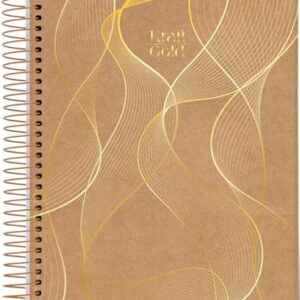 Jandaia - Caderno Espiral Universitário CD 10 Matérias 160 Fls Kraft Gold Ondas 2026 FSC (CDs)