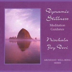 Dynamic Stillness - Devi, Nischala Joy (CDs)