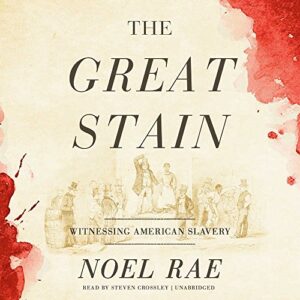 The Great Stain: Witnessing American Slavery - Rae, Noel (CDs)