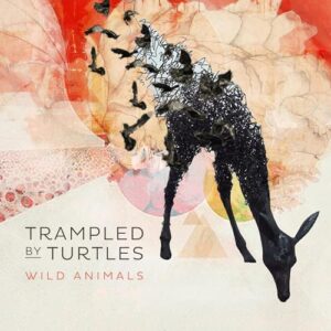 Wild Animals - Trampled by Turtles (CDs)