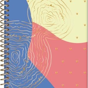 Jandaia - Caderno Espiral College 175x242mm CD 1 Matéria 80 Fls Mickey Arts Meio Orelha Dourada FSC (CDs)