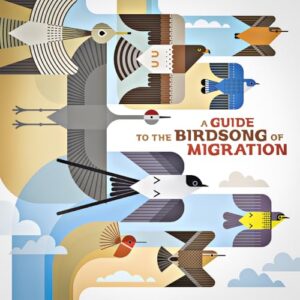 A Guide to the Birdsong of Migration - Various Artists (CDs)