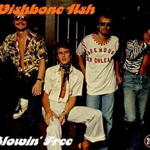 Blowin - Wishbone Ash (CDs)