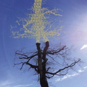 ROOTING FOR LOVE - Laetitia Sadier (CDs)