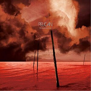 What We All Come to Need - Pelican (CDs)