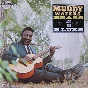 Muddy Brass & Blues - Waters, Muddy (CDs)