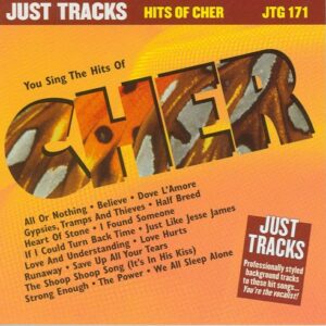 Karaoke: Cher Hits - Various Artists (CDs)
