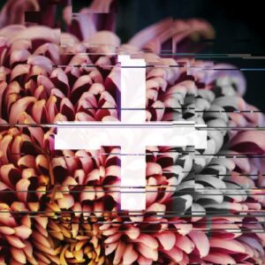Fe Music: The Rework - Foreign Exchange Presents (CDs)