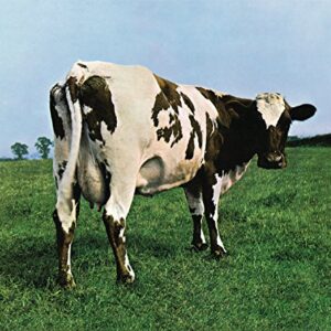 Atom Heart Mother - Heart (CDs)