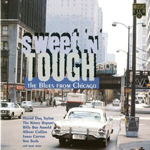Sweet 'n' Tough - Hound Dog Taylor, The Kinsey Report, Billy Boy Arnold, Etc. (CDs)