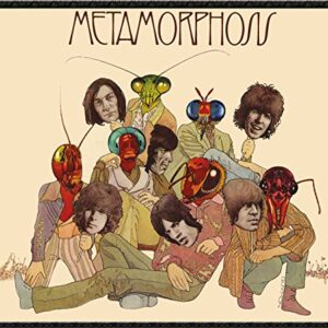 METAMORPHOSIS UK (SPECIAL EDITION) (HUNTER GREEN VINYL/FULL colour EXCLUSIVE IRON ON COVER ART) (RSD) - ROLLING STONES (Discos de Vinil)