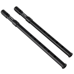 Sondery Conjunto de apito de estanho irlandês chave de C e chave de D feito de ABS de alta qualidade com som de madeira na natureza Penny Whistle (CDs)