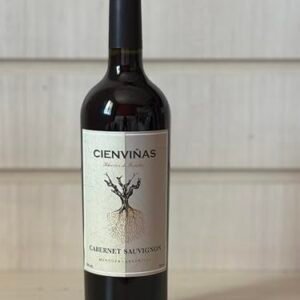 Vinho Tinto Cienviñas Cabernet Sauvignon 750 ml (Vinhos)