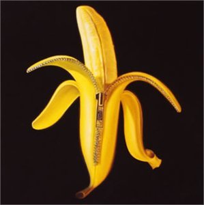 Welcome to the Monkey.. - Dandy Warhols (CDs)