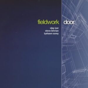 Door - Fieldwork (CDs)