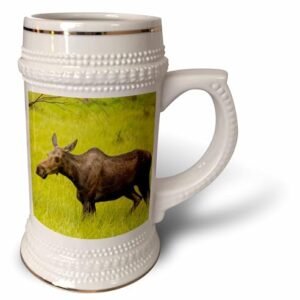 3dRose Colorado, Rocky Mountain National Park, alce de vaca em pé na grama. Caneca de Stein, 510 g, 623 g, branca (Cervejas)