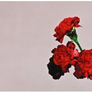 Love In The Future - John Legend (CDs)