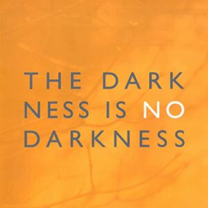 Darkness Is No Darkness - Various Artists (CDs)