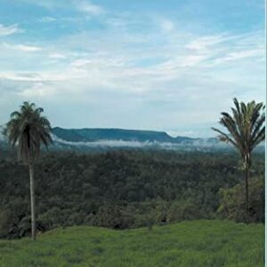 A Mountain of Trouble - Moulton, C D (CDs)