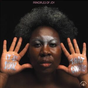 It's Soul That Counts - PRINCIPLES OF JOY (CDs)